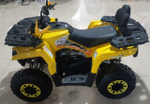 Квадроцикл Gladiator F200 LUX (New)