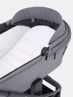Коляска 2 в 1 Rant Flex 2025 RA076