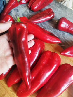 Перец Сахарный — Вишнёвое Вино