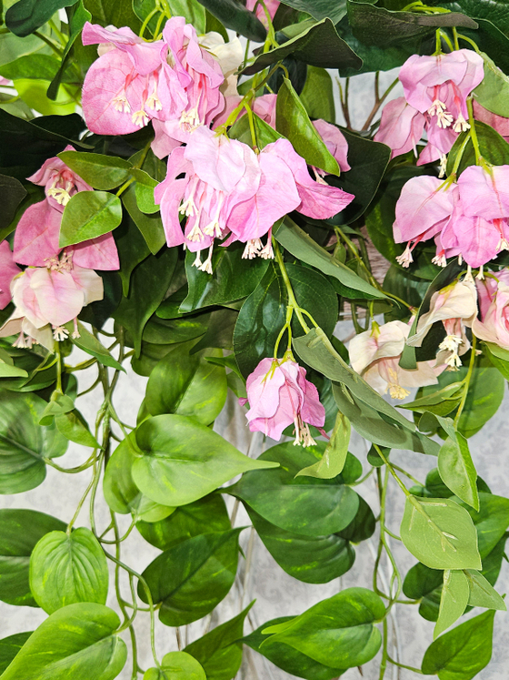 Бугенвиллия и сциндапсус в деревянном настенном кашпо