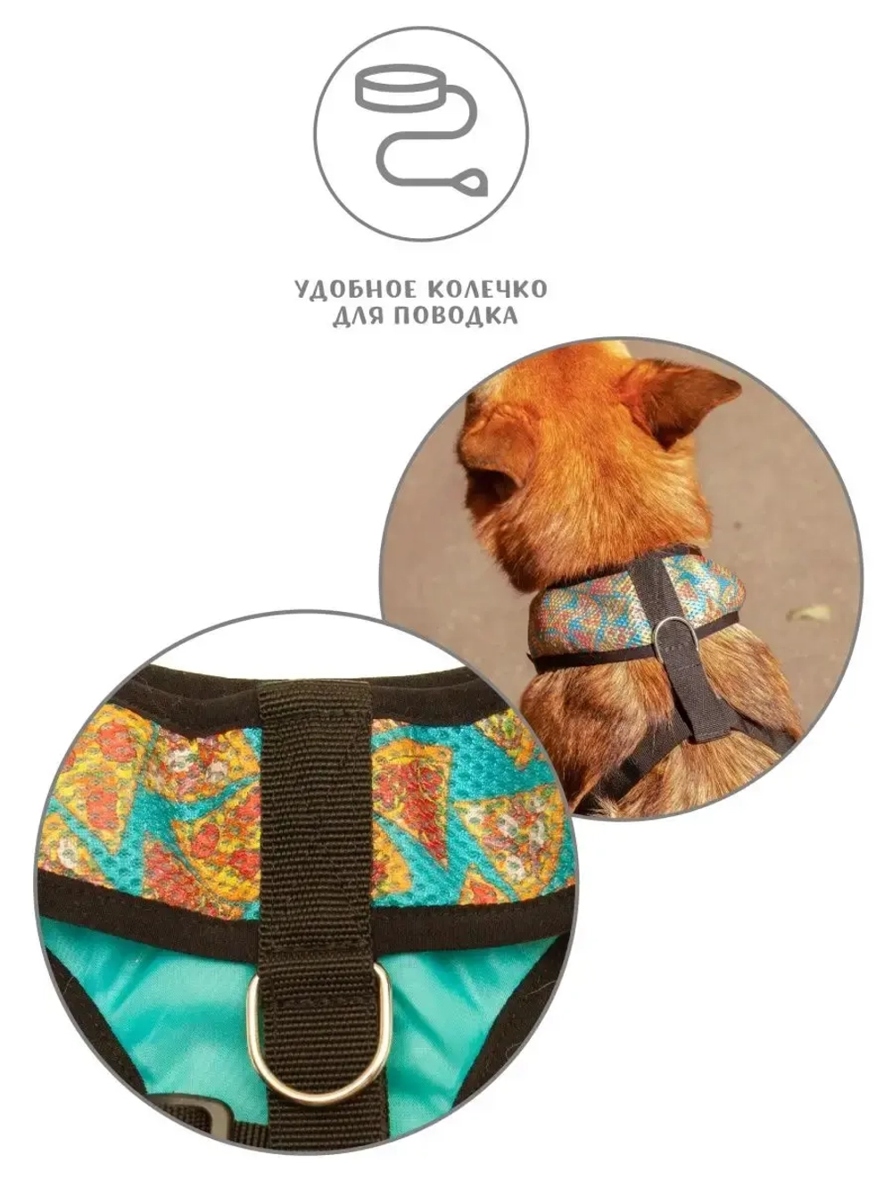 Шлейка для собак и кошек прогулочная