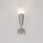 Настенный светильник Eurosvet Rhyton 60167/1 никель