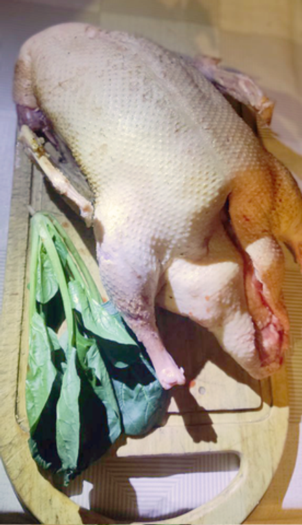 Утка домашняя