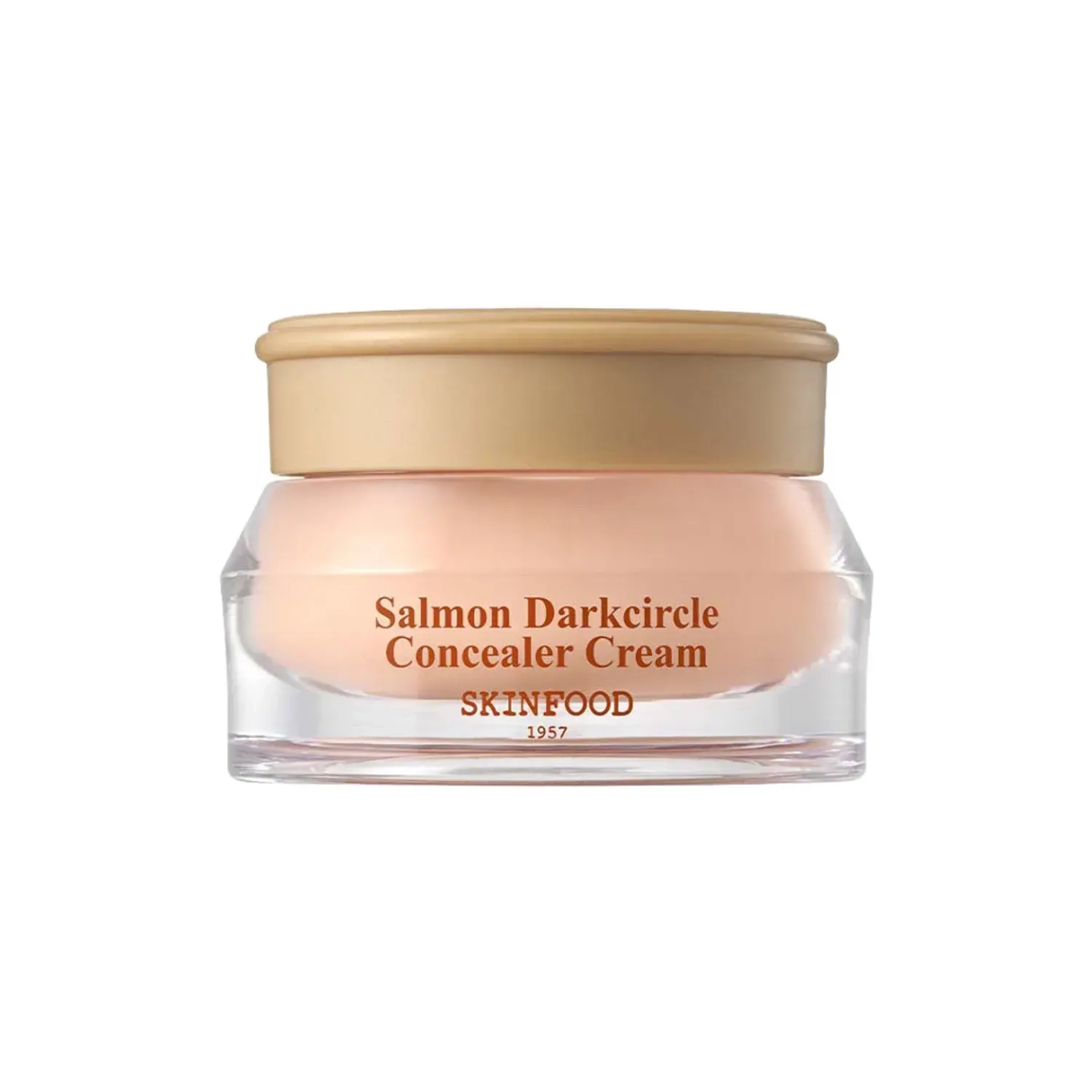 Skinfood Salmon Darkcircle Concealer Cream