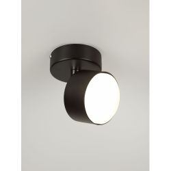 Светильник настенно-потолочный спот Rivoli Alesta 7079-701 1хGX53 15 Вт поворотный | Rivoli