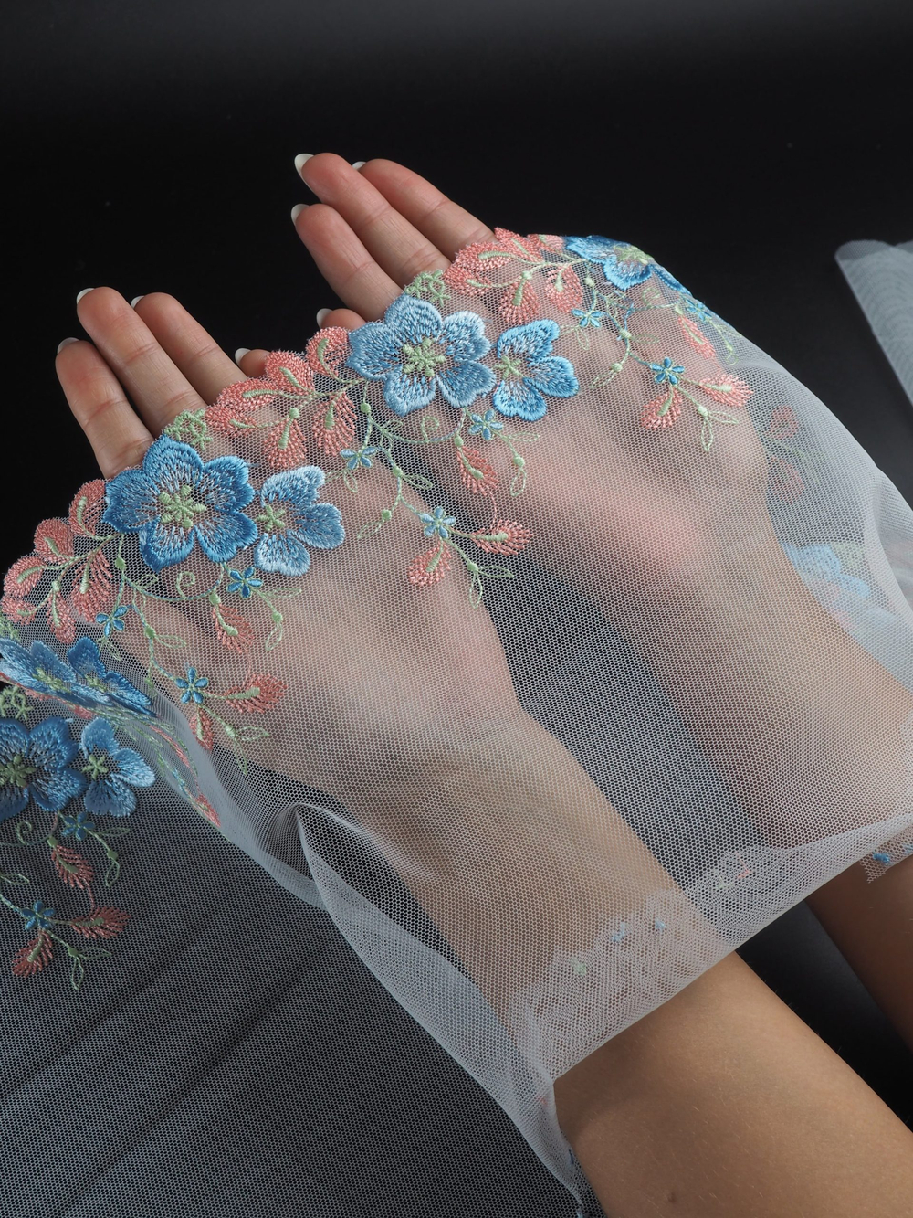 Вышивка на сетке светло-голубая с мультиколор ширина 22 см (2 стороны)