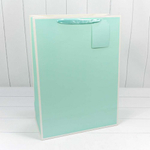 Пакет подарочный 40х55х20см Премиум однотонный в рамке (Микс)