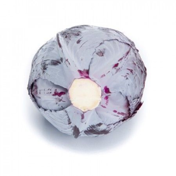 Редма F1 семена капусты краснокочанной (Rijk Zwaan /ALEXAGRO) культура – фото 5