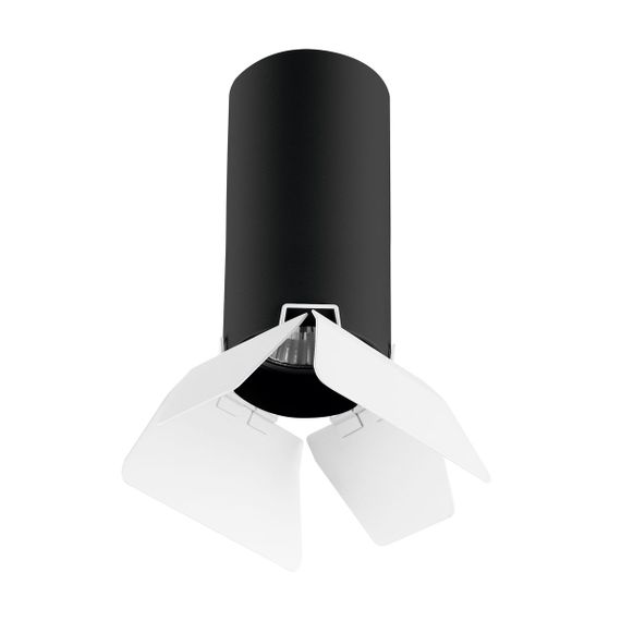 Комплект с потолочным светильником Lightstar Rullo (214487+202436) R487436