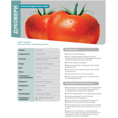 Дуковери F1 семена томата индетерминантного (De Ruiter Seeds / Де Ройтер Сидс)