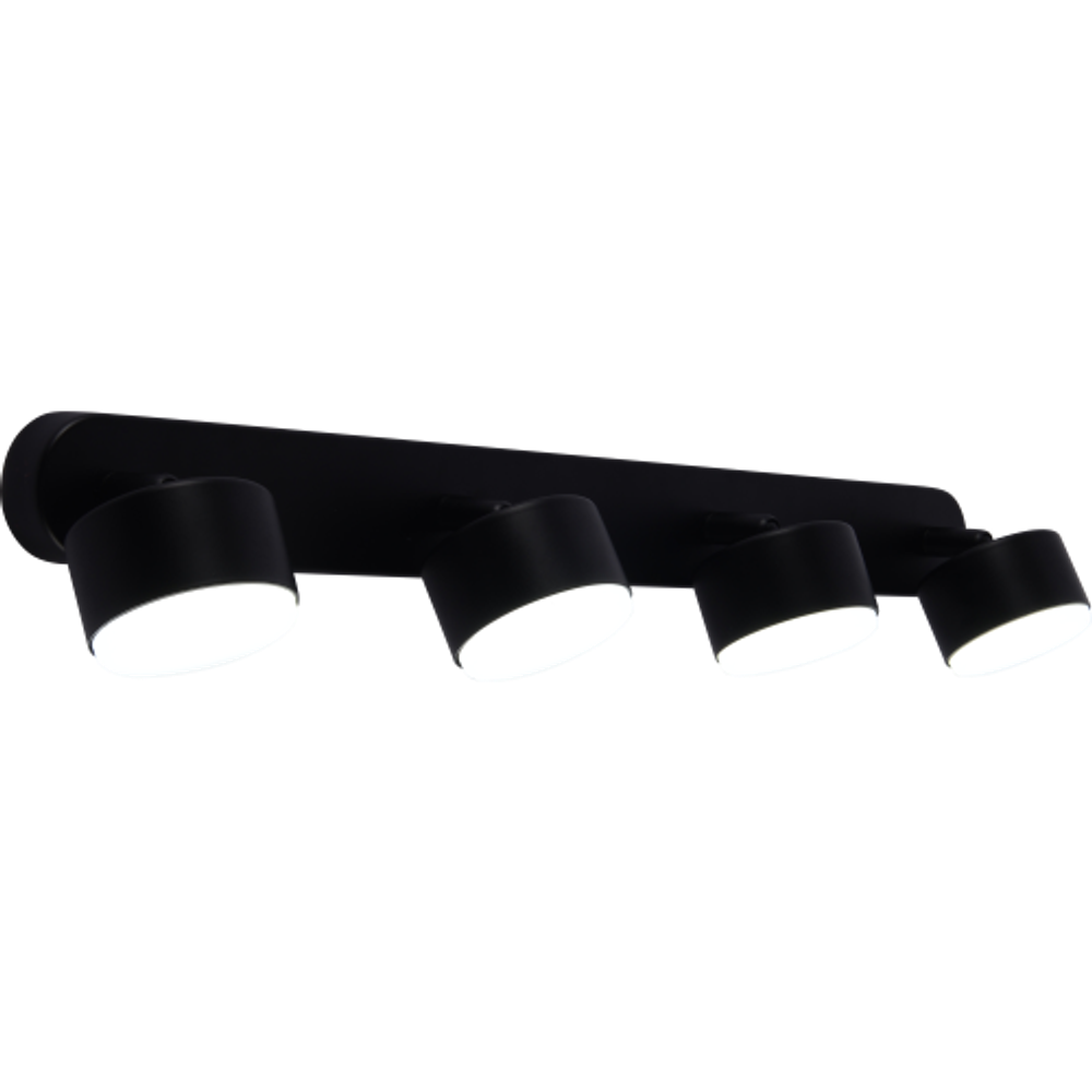 Светильник настенно-потолочный спот Rivoli Alesta 7079-704 4хGX53 15 Вт поворотный | Rivoli