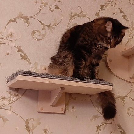 Ступенька