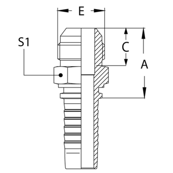 JIC (Ш)