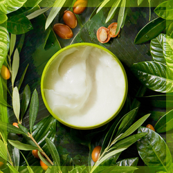 Herbal Essences Essences of Life Argan Oil - восстанавливающая маска для волос /   450  ml  / GTIN 8006540178454