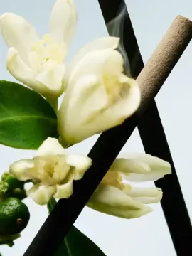 Dries Van Noten Orange Smoke