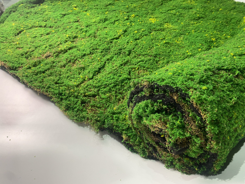 Мох искусственный арт. 161-062 GREEN в рулоне Длина рулона: 5 м Ширина рулона (+/- 5см): 1.5 м= 8м/кв