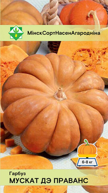 Тыква "Мускат де Прованс" 5шт, Германия.