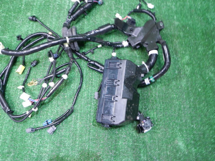 DSCN0958.JPG