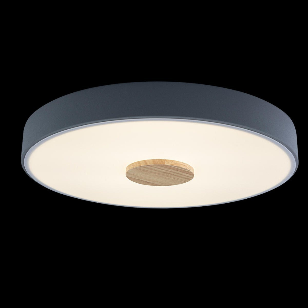 Потолочный светодиодный светильник Loft It Axel 10003/24 Grey