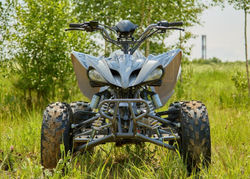 Квадроцикл SHARMAX Raizer Race Cup 250