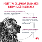 ROYAL CANIN Renal Диетический корм для собак при хронической почечной недостаточности, 2 кг