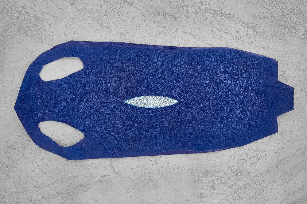 Кожа ската 230х120мм (синяя)