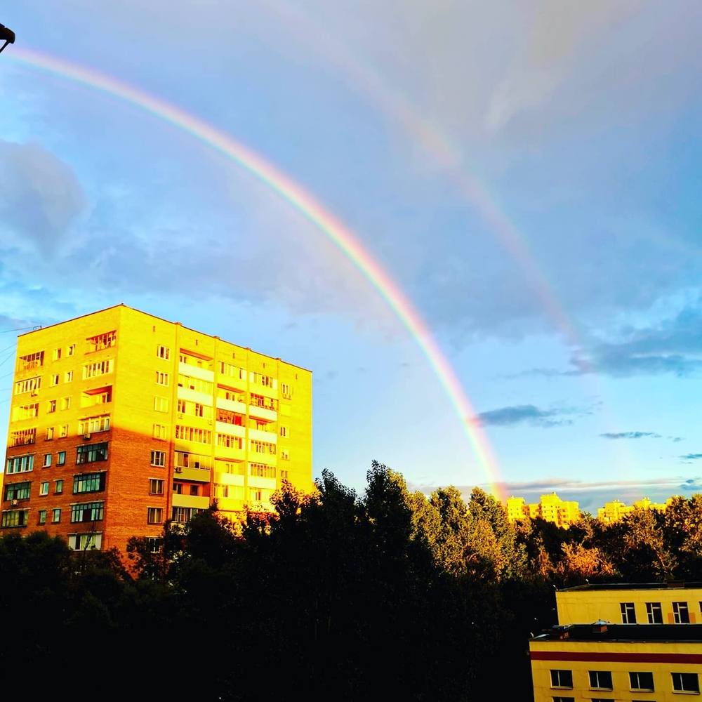 Грифон