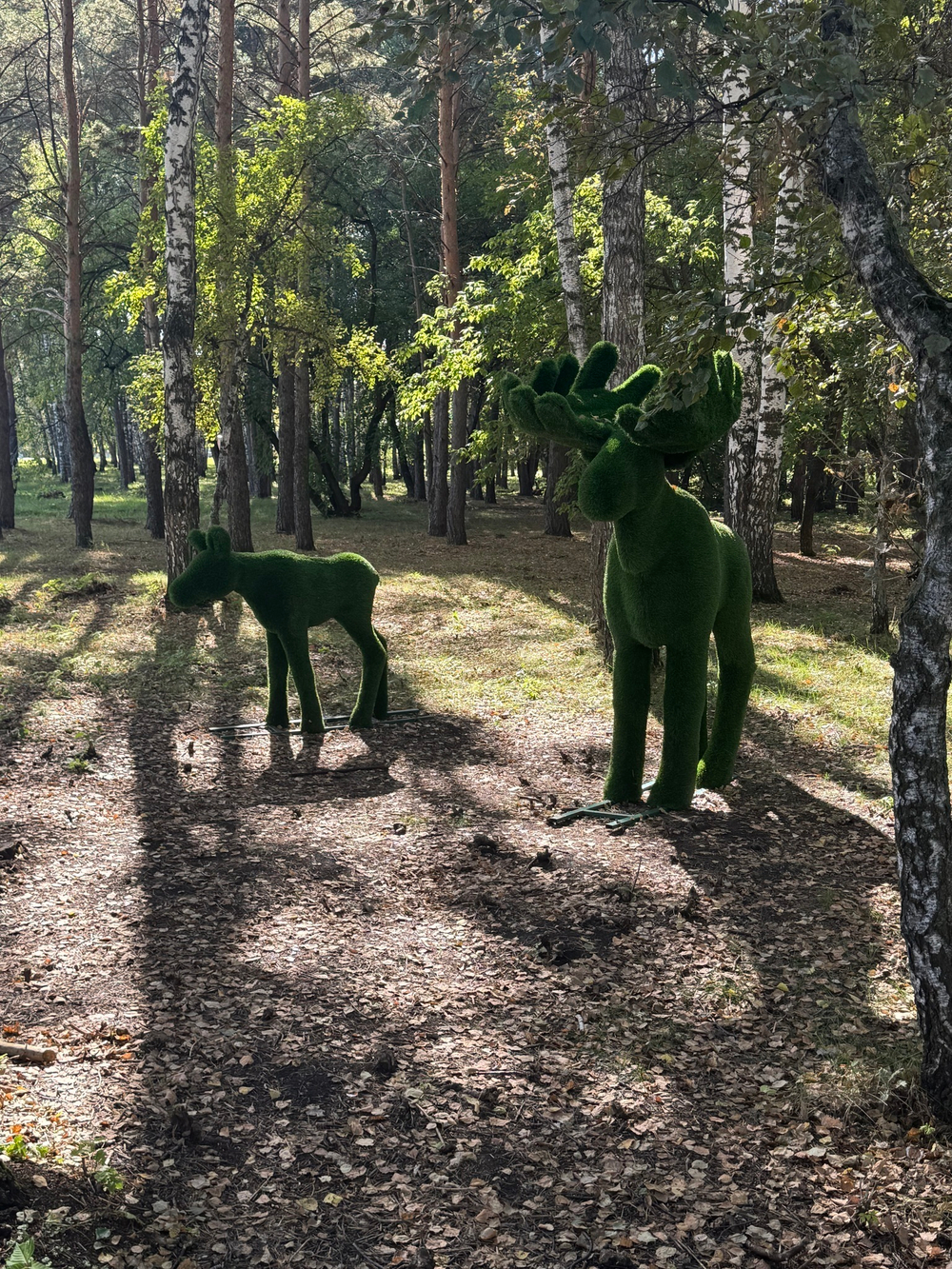 2+ квартира, 57,8 м² / Чистовая отделка