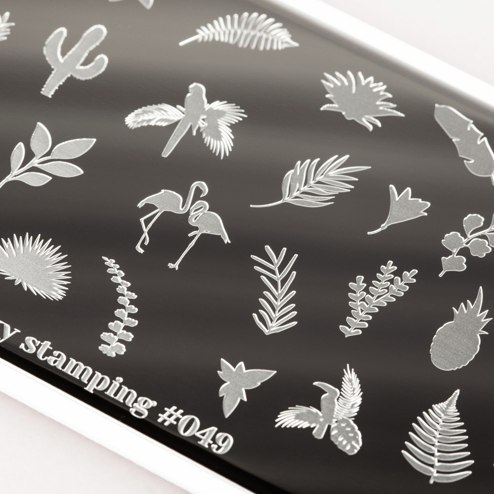 Swanky Stamping Пластина для стемпинга 049 фрукты