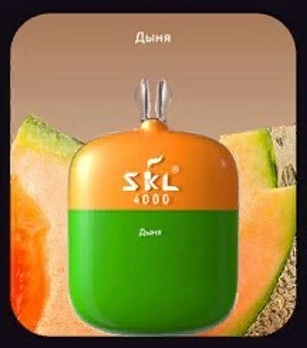 SKL 4000 Дыня купить в Москве с доставкой по России