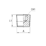 Заглушка (Ш) NPT 1/4"