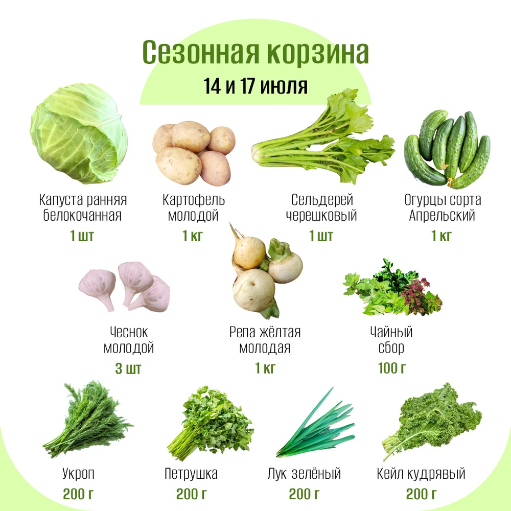 Сезонная корзина
