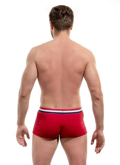 Мужские боксеры с полосками на резинке (Размер: L) (Цвет: красный)