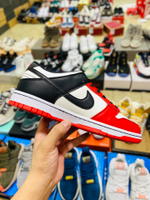 Nike Dunk Low EMB NBA 75th Anniversary Chicago