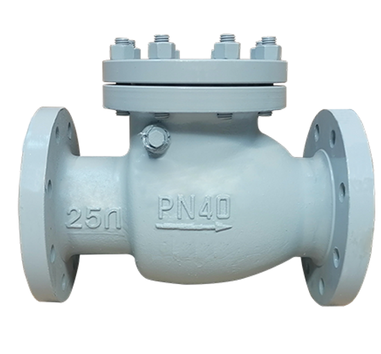 Клапан обратный поворотный КОП 19лс53нж Ру40 Ду150