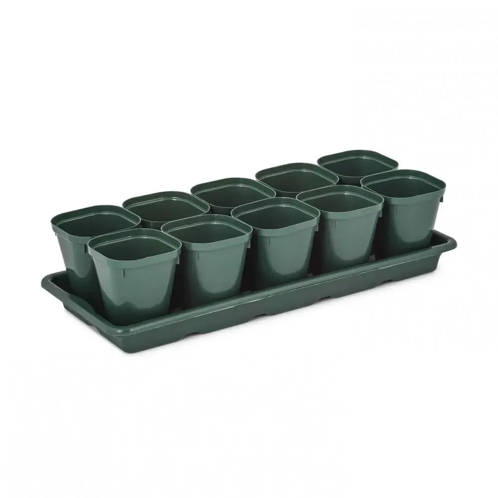 Набор д/рассады (10 стаканов 0,3л)(с поддоном) (комплект 10 шт)