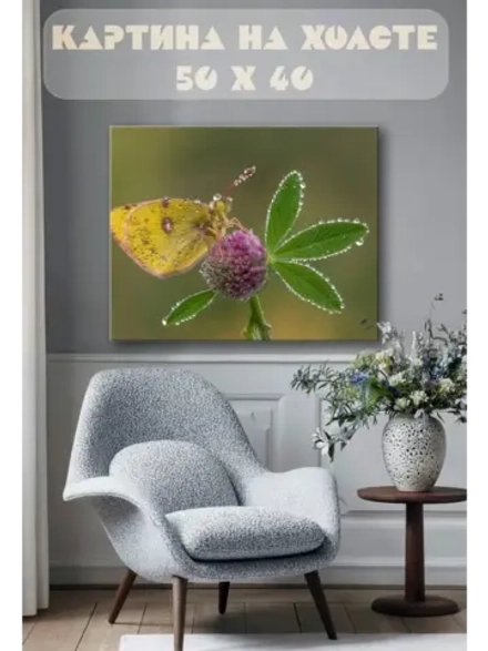 Картина на стену 40 X 50 Бабочка