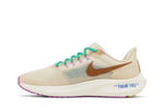 Кроссовки Nike Air Zoom Pegasus 39 'Moving Company'
