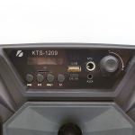 Напольная колонка Орбита KTS-1209 black