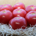 Мей Шуай F1 семена томата индетерминантного (Seminis / Семинис)