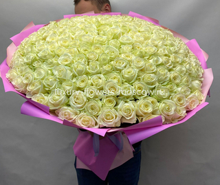 201 белая роза рф в розовой упаковке 4