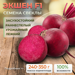 ЭКШЕН F1 семена свеклы (Bejo | Alexagro)