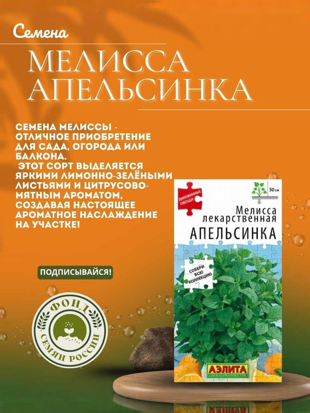 Мелисса Лекарственная, Жемчужина, Семена 0,1 гр.