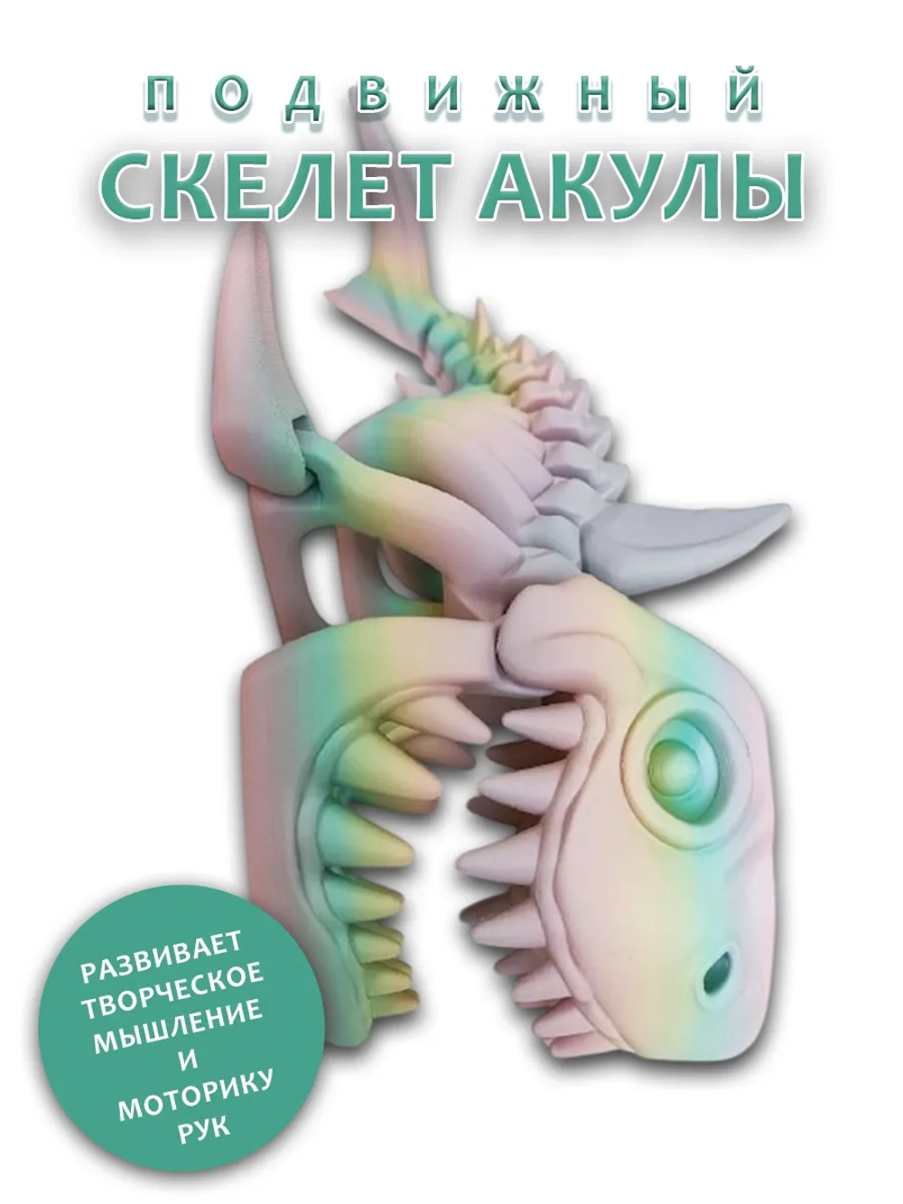 Большой Скелет Акулы