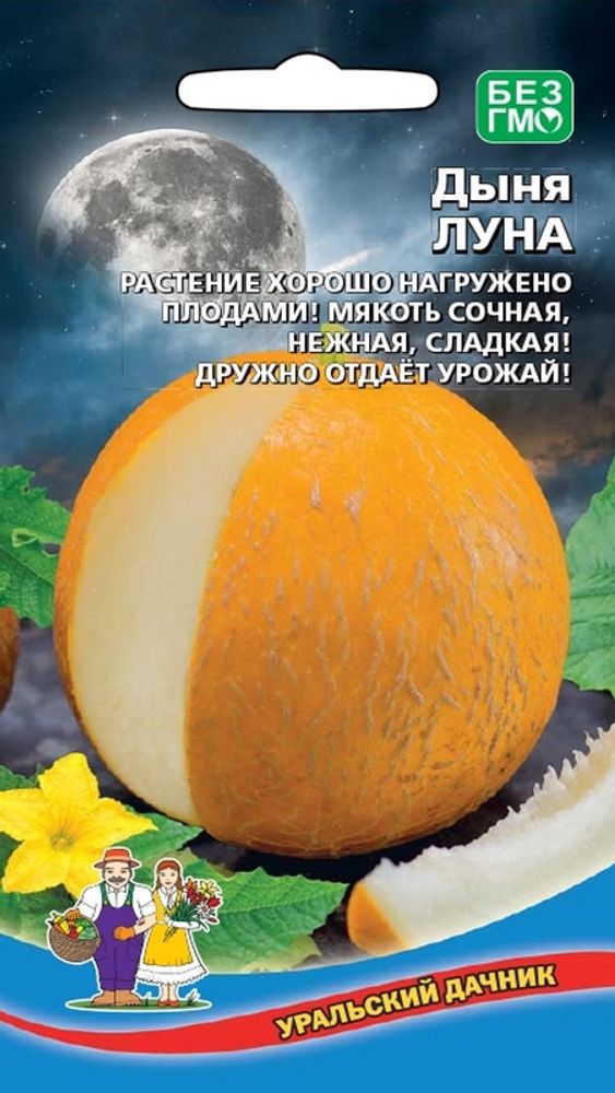 Дыня &quot;G. Луна&quot; 10шт., Россия.