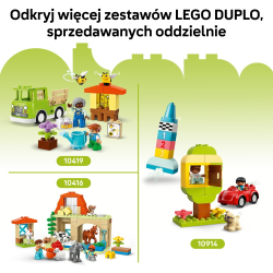 LEGO DUPLO Town Творческий сад и цветы/ 10444