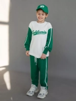 Спортивный костюм для мальчика в школу