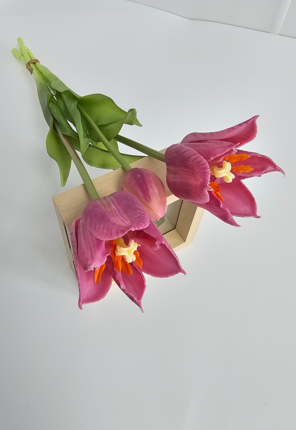 Тюльпаны лилиецветные / Арт 2526