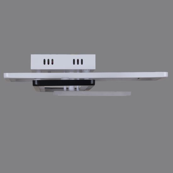 03629-0.3-2+1 WH+BK светильник потолочный