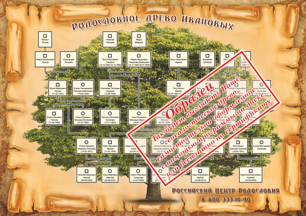Родословное дерево , образец в книгу